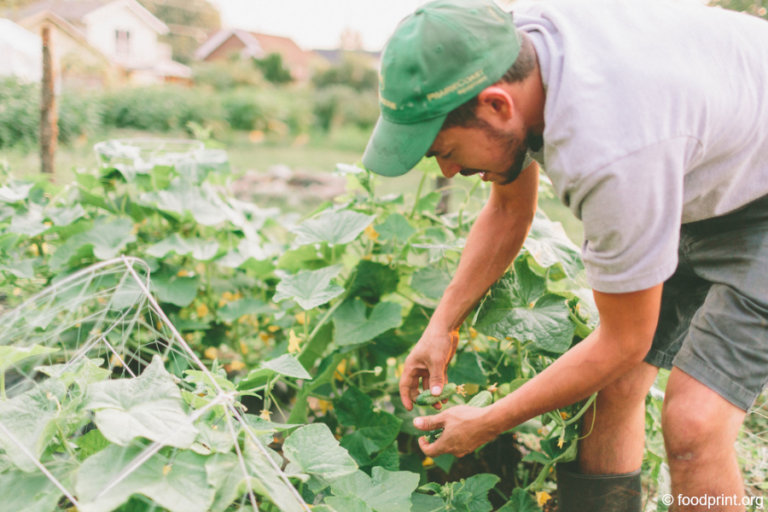 From Arms to Farms